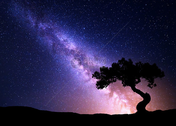 银河山上的树银河山上的树山上生长出来的老树,映衬着夜空中紫色的银河夜风景太空背景星系旅行图片
