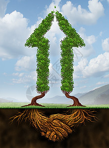 合作促进增长项商业协议合作,财务上取得成功,合作伙伴合作,两棵箭头形状的树的,根以手的形式存图片