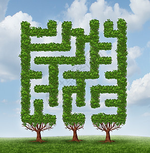 日益增长的挑战未来复杂金融风险的商业,前群树,形状像个迷宫迷宫夏天的天空图片
