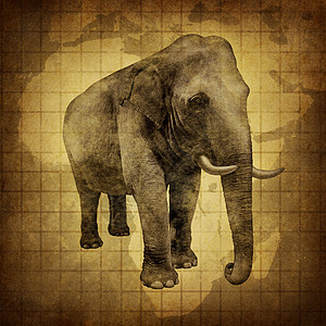 大象旧的粗糙纹理羊皮纸上,用非洲智慧智慧的象征,用个巨大的非洲荒野Pachyderm自然保护的象征图片