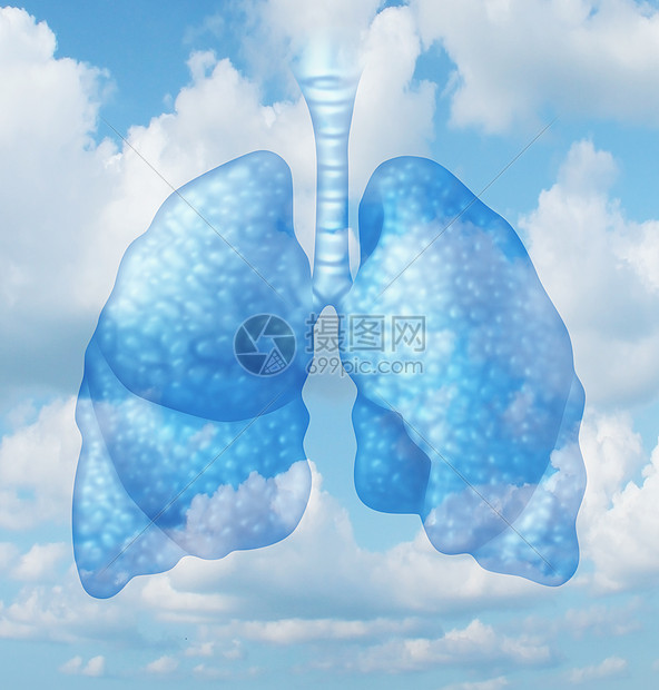 干净的空气质量健康的呼吸个无污染的环境中,以人类的肺为代表,夏季的天空背景下,健康生活的象征图片