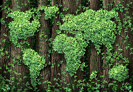 全球发展绿色经济个商业,世界由个的体藤叶成,生长森林树木上,环境保护的象征图片