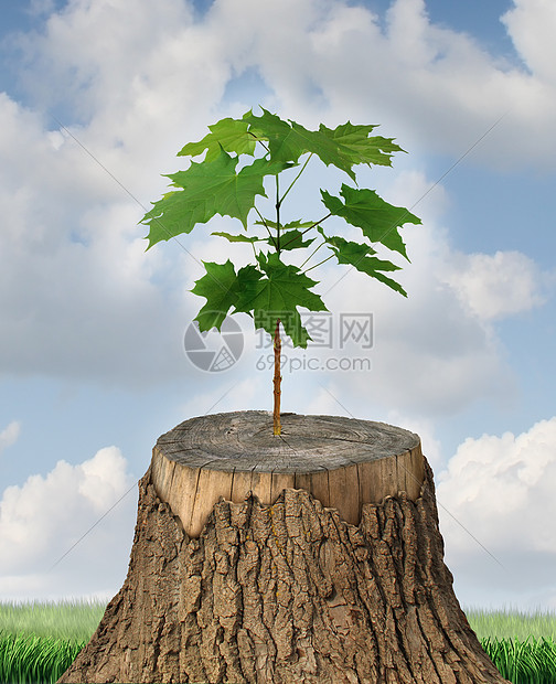新的发展更新种新的领导成功的商业理念,以棵老的砍伐树棵新的强壮的幼苗中心树干生长,种支持建设未来的理念图片