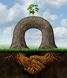 伙伴关系的权力商业理念与两棵树共同努力,创造个新的增长机会,以植物的根签署合同手的象征图片