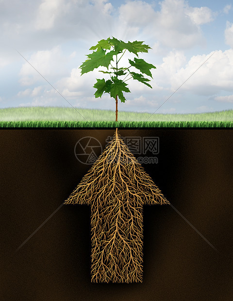 成功的根种增长的商业,棵新的发芽树地下的根涌现出来,它被塑造成支箭,未来投资潜力的金融象征图片