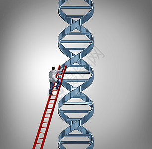 基因研究测试与医生科学家攀登红色阶梯,研究DNA链的遗传密码,以帮助发现治愈人类疾病疾病,保健医学医疗技术的象征图片