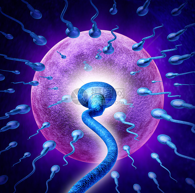 人类生育的 极端效地接近显微镜下的精子精子细胞 向雌卵细胞游泳 以受精创造怀孕医学繁殖的象征高清图片下载 正版图片 摄图网 人类生育的 极端效地接近显微镜下的精子精子细胞 向雌卵细胞游泳 以受精创造怀孕医学繁殖的象征高清图片下载 正版图片 摄图网