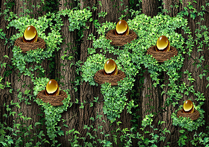 全球退休投资金融片古老的森林,生长着棵绿色的藤蔓,形状像张世界,群金蛋窝,全球多元化投资的隐喻图片