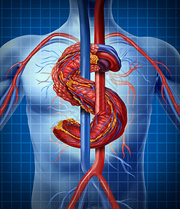 健康保险成本医疗费用的,以人的心的形状,以金钱美元的象征,比喻保护人体的价格上涨,由此产生的经济负担个商业图片