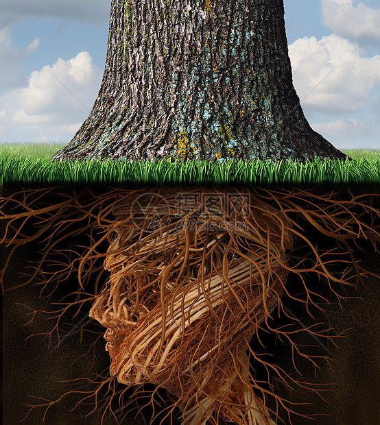 扎根并扎根于商业医疗保健,地下树根以人头的形状生长,就像棵高大的树生长,健康保健财富增长成功的象征图片