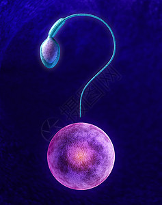 人类生育问题生殖健康的混乱确定,男精子细胞女卵子的形状问号,生殖医学信息的应激背景图片