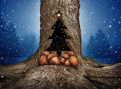 自然假日礼物捐赠的棵松树,常青树干上个洞,形状像诞树的图标,群橡子,代表礼物精神,如果慈善捐赠冬季庆图片