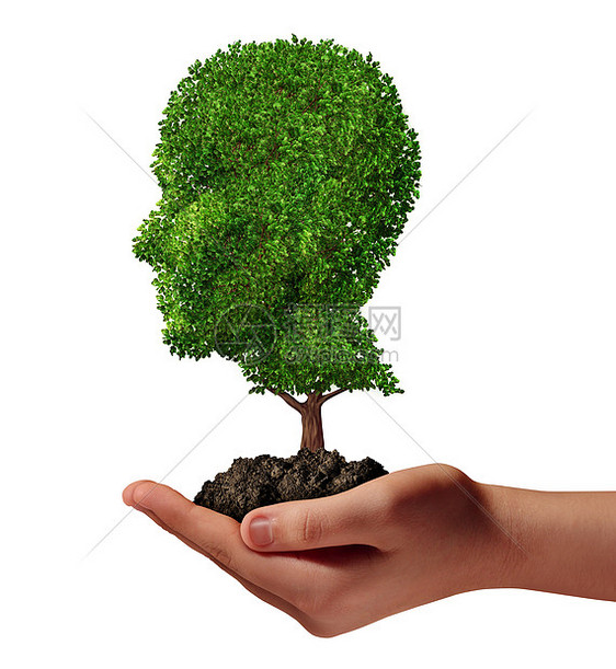 生命发展的用只手着棵绿色的树,形状被塑造成个人类的头部,保护环境培育隐喻自然象征图片