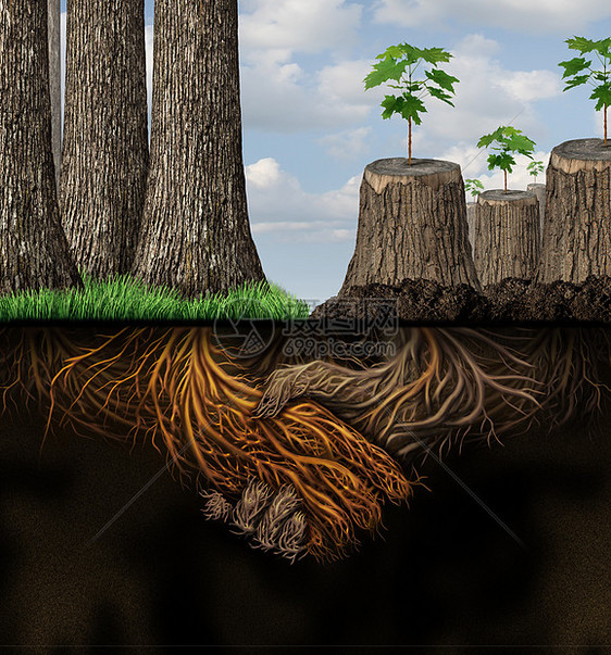 经济支持财政援助的商业,健康树木的森林,帮助切碎的树干,握手的根,新发展的隐喻图片