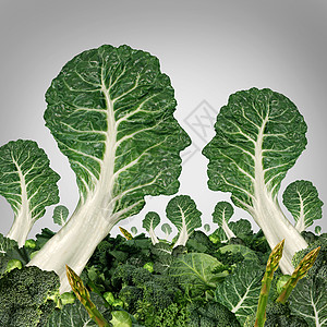 素食社区健康饮食社会绿叶蔬菜,被塑造成人类的头部,食品种植者社会网络机农业理念的健康象征图片