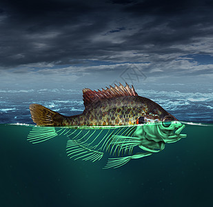 水污染污染的海洋种鱼,半的身体水下环境保护问题的骨架图片