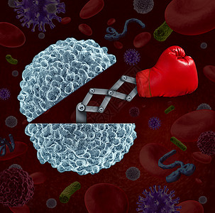 免疫系统种开放的白细胞,拳击手套种保健隐喻,人体的自然防御来抗疾病感染背景图片
