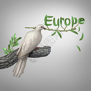 欧洲冲突外交危机的只白鸽,手里着支橄榄枝,被塑造成文本,平的希望风险象征,并为东欧西欧的安全找平谈判图片