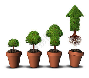 投资资金金融增长成功的,植物盆,逐渐生长的树木与成熟的树,形状为箭头,向上飞,摆脱家庭的限制,经济投资的象征图片
