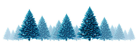 冬季蓝色松树背景季节假日元素边界与诞树白色背景上个凉爽的节日常绿森林图标与雾雪的假日季节,包括新图片