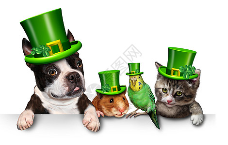 绿色宠物标志与只趣的猫,快乐的狗,可爱的仓鼠鹦鹉戴着春天的三叶草帽子,三叶草挂个水平的白色标语牌上,图片