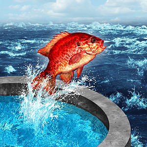 勇气的野心的象征,条红鱼跳出人工池加入自然的蓝色海洋农场提出了海鲜社会问题图片