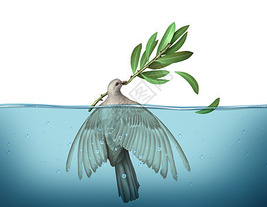 外交危机只平鸽淹没水中,试图抓住橄榄枝,谈判战争的失败外交的紧急象征图片