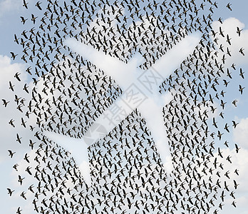 航空旅行群飞鸟鹅,以客机的形状来,航空运输运输的象征图片