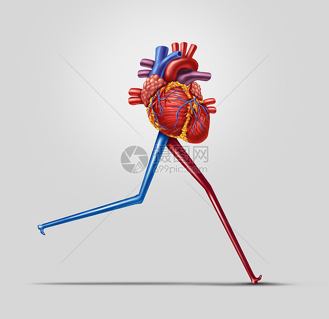 心脏健身种人类心血管器官,跑步慢跑腿由动脉制成,种锻炼保健的标志,过着健康的生活方式图片