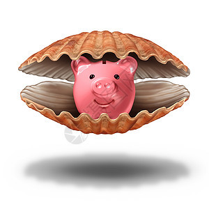 储蓄财富金融财富财富个开放的海壳,储蓄罐宝贵的珍珠图标,象征着避税宝贵的投资理念图片
