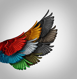 联盟共同工作的商业理念,个多样化的鸟类翅膀个整体,个巨大的强大的翅膀,合作成功员工支持的协同隐喻图片