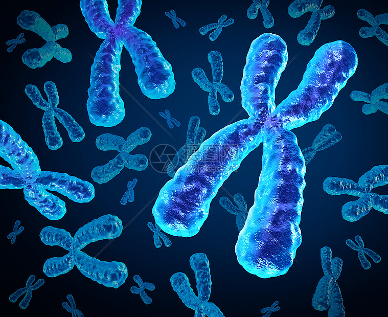 染色体人类生物学x结构的 包含dna遗传信息基因治疗微生物学遗传学研究的医学符号高清图片下载 正版图片 摄图网 染色体人类生物学x结构的 包含dna遗传信息基因治疗微生物学遗传学研究的医学符号高清图片下载 正版图片 摄图网