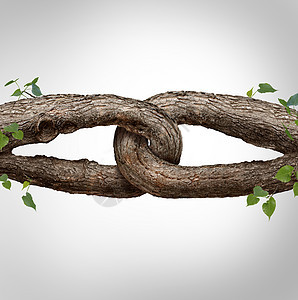 强大的链连接成两个同的树干,捆绑,个牢可破的链,信任信仰的隐喻,依赖依赖个值得信任的合作伙伴的支持背景图片