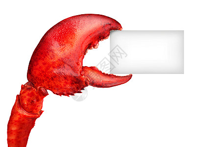 海鲜标志龙虾爪持空白卡片标志,种新鲜的海鲜信息贝类食品,红色贝壳甲壳动物隔离白色背景上背景