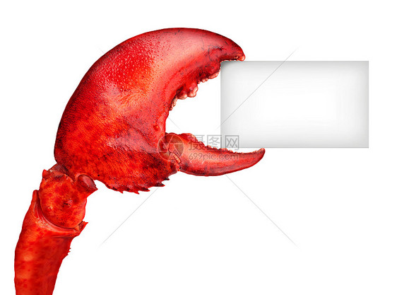 龙虾爪持空白卡片标志,种新鲜的海鲜信息贝类食品,红色贝壳甲壳动物隔离白色背景上图片