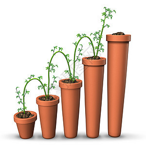 成长成功的商业,种生长的植物,逐渐上升的更高的花盆,个财务图表的象征,健康的利润预测白色的背景下图片
