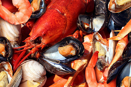 甲壳类海鲜贝类板块以新鲜龙虾蒸蛤贻贝虾蟹为海洋美食晚餐背景图片