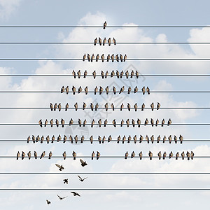 商业金字塔层次结构符号种多级营销方案,的鸟群电线上,其他鸟招募成员加入底部图片