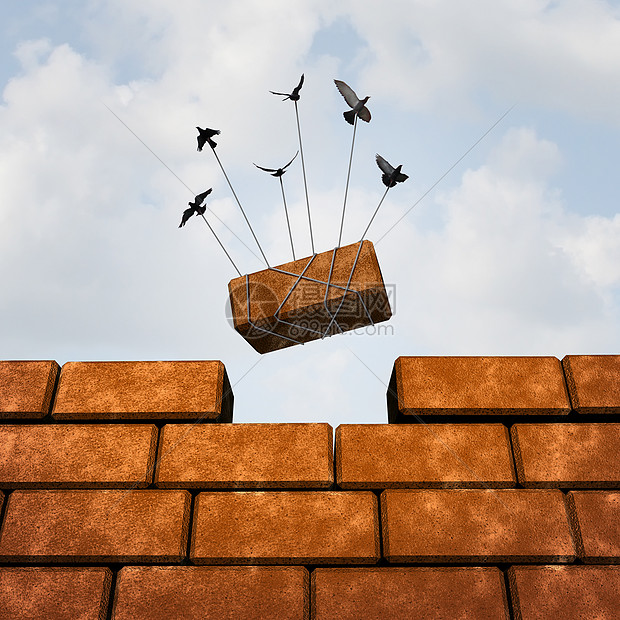 一群鸟放置砖头隐喻共同努力