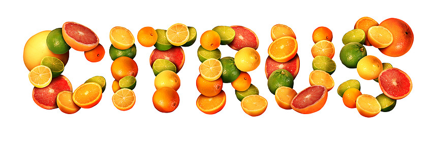 柑橘文本的水果 橘子柠檬橘子柚子健康饮食免疫系统增强的象征 白色背景下分离出天然维生素高清图片下载 正版图片 摄图网