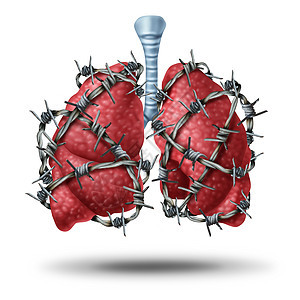 肺痛医学将人体肺器官包裹危险的铁丝网铁丝网上,心血管问题的保健符号,如囊纤维化胸痛隐喻图片