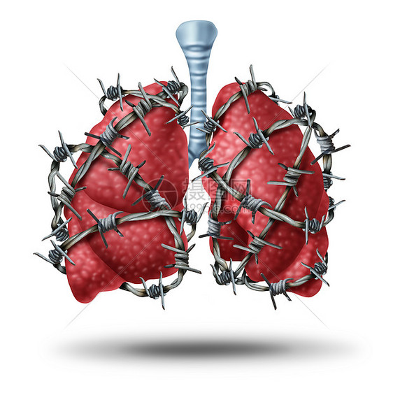 肺痛医学将人体肺器官包裹危险的铁丝网铁丝网上,心血管问题的保健符号,如囊纤维化胸痛隐喻图片