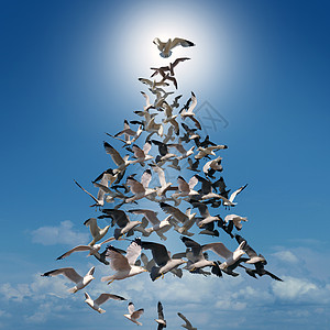 节日希望树精神群鸟,以协调的方式飞行,形状像诞树,顶部的鸟发光的太阳后,节日的比喻,冬天的庆祝趣的贺卡图片