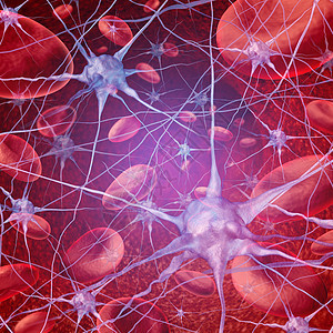 神经元血流脑循环,细胞流经静脉人体循环系统,代表与中风神经学问题关的医疗保健符号图片