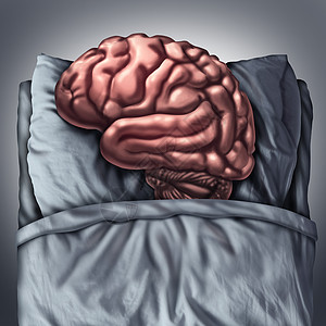 大脑睡眠保健医学,睡床上的枕头来休息思维器官,冥想深度思维治疗的认知神经隐喻图片