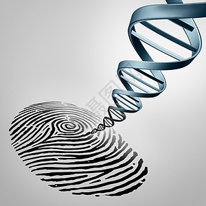 遗传指纹种指纹,DNA种医学鉴定符号出现亲子鉴定生物技术基因图标上背景图片