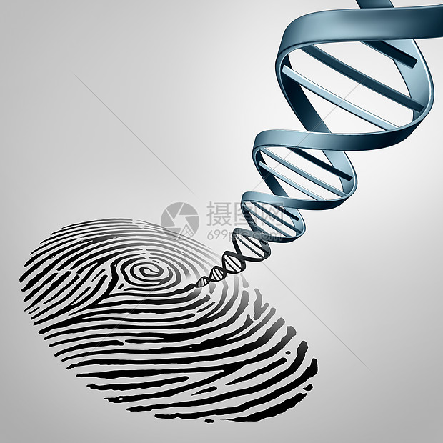 遗传指纹种指纹,DNA种医学鉴定符号出现亲子鉴定生物技术基因图标上图片
