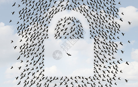 群体保护安全网络符号群天空中飞翔的鸟,形状像把锁,只单独的鸟,由个的队保护,受危险的保护图片