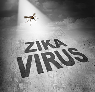 寨卡病风险符号携带蚊子文字的疾病的阴影,代表虫子叮咬传播感染的危险,导致寨卡热图片