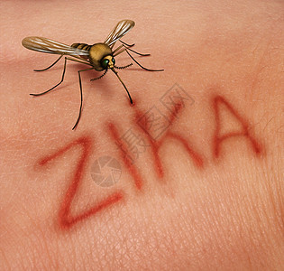 寨卡病的种病风险符号,带种危险的疾病,蚊子人类皮肤上文字,代表虫子叮咬传播感染的危险,导致寨卡热图片